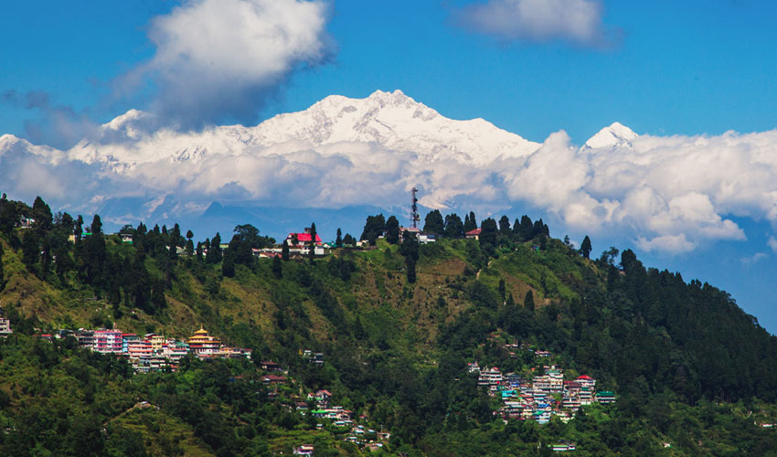 Sparrow Cherry Resort